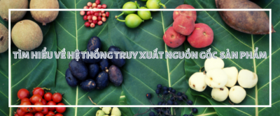truy xuất nguồn gốc