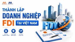 Dịch Vụ Thành Lập Doanh Nghiệp FDI Tại Việt Nam