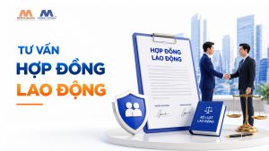 Dịch Vụ Tư Vấn Hợp Đồng Lao Động Cho Doanh Nghiệp