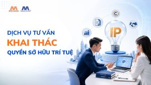 Dịch Vụ Tư Vấn Khai Thác Quyền Sở Hữu Trí Tuệ