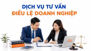 Dịch Vụ Tư Vấn Soạn Thảo Điều Lệ Công Ty