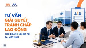 Dịch Vụ Tư Vấn Tranh Chấp Lao Động Cho Doanh Nghiệp FDI Tại Việt Nam