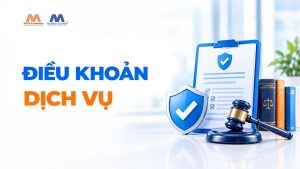 Điều khoản dịch vụ MDVN & Associate