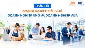 Phân Biệt Doanh Nghiệp Siêu Nhỏ, Nhỏ Và Vừa